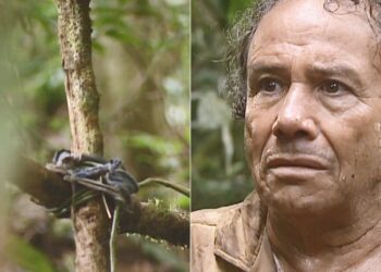 Zé do Araguaia encontra sepultura no meio da floresta e teme que Bruno esteja morto