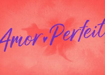 Resumo dos capítulos de Amor Perfeito