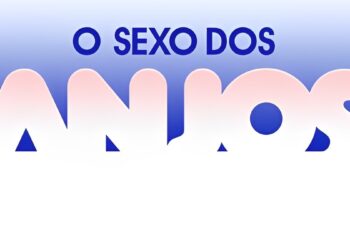 Resumo dos capítulos de O Sexo dos Anjos
