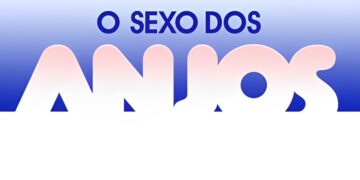 Resumo dos capítulos de O Sexo dos Anjos