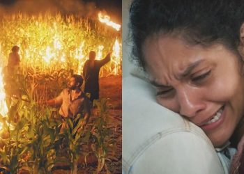 O que acontece após incêndio? Aline toma atitude ao ver milharal em chamas