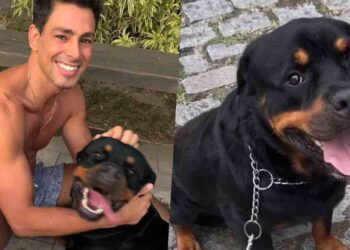 Cauã Reymond sofre com perda de seu cachorro, morto envenenado: ‘Nunca pensei que seria tão triste’
